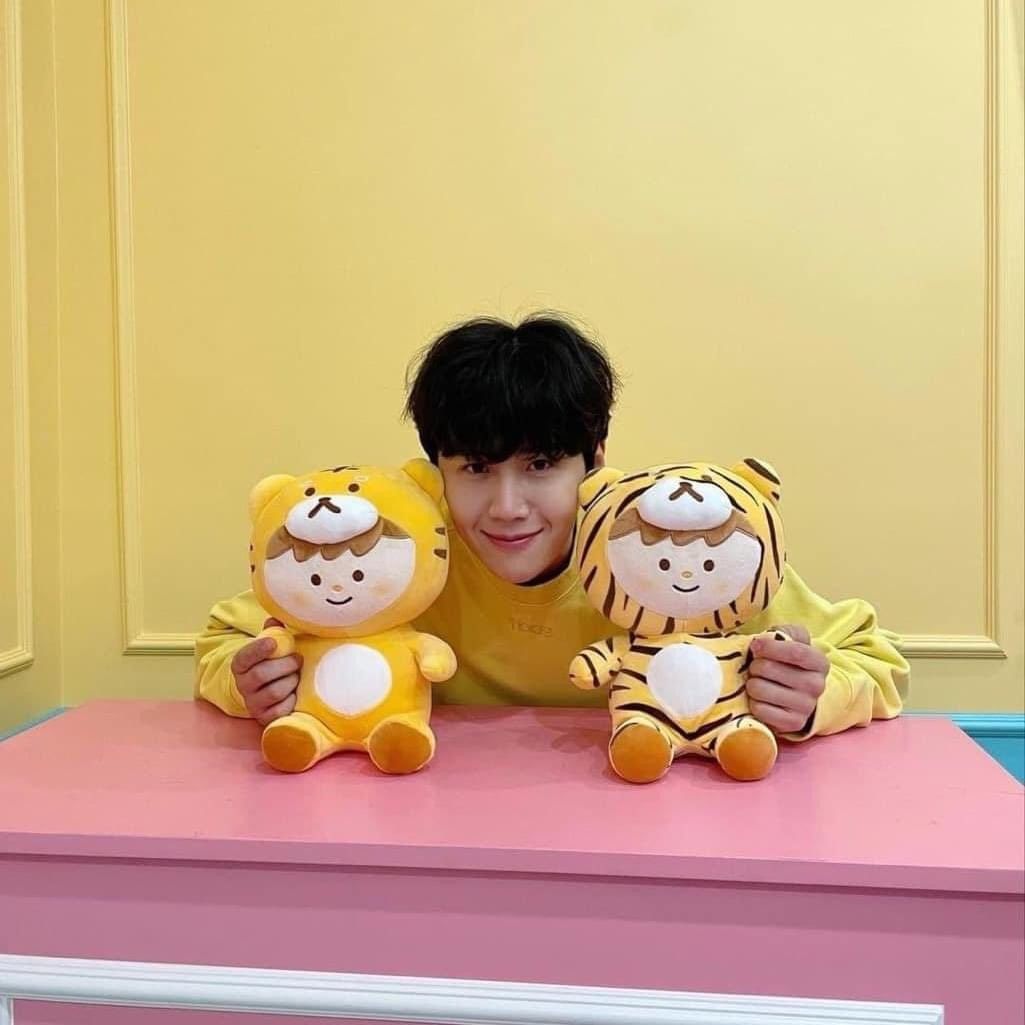 KIM SEON HO SEASON'S GREETINGS AND DAISO SEON HORANGI, Hobbies & Toys