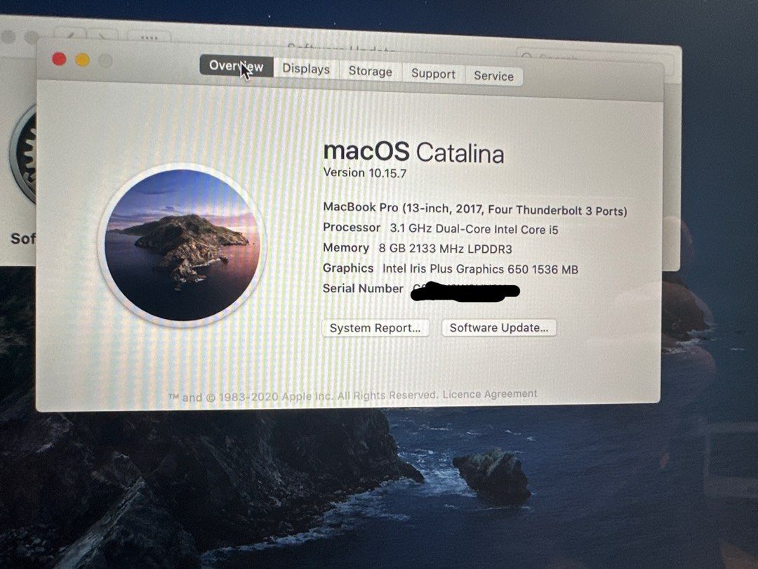 Intel iris plus graphics 650 1536 mb on sale