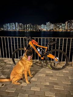 （分類：）位於 。 由 aclhnene 提交（商品編號 1216830613，圖片 1）。簡介： 。