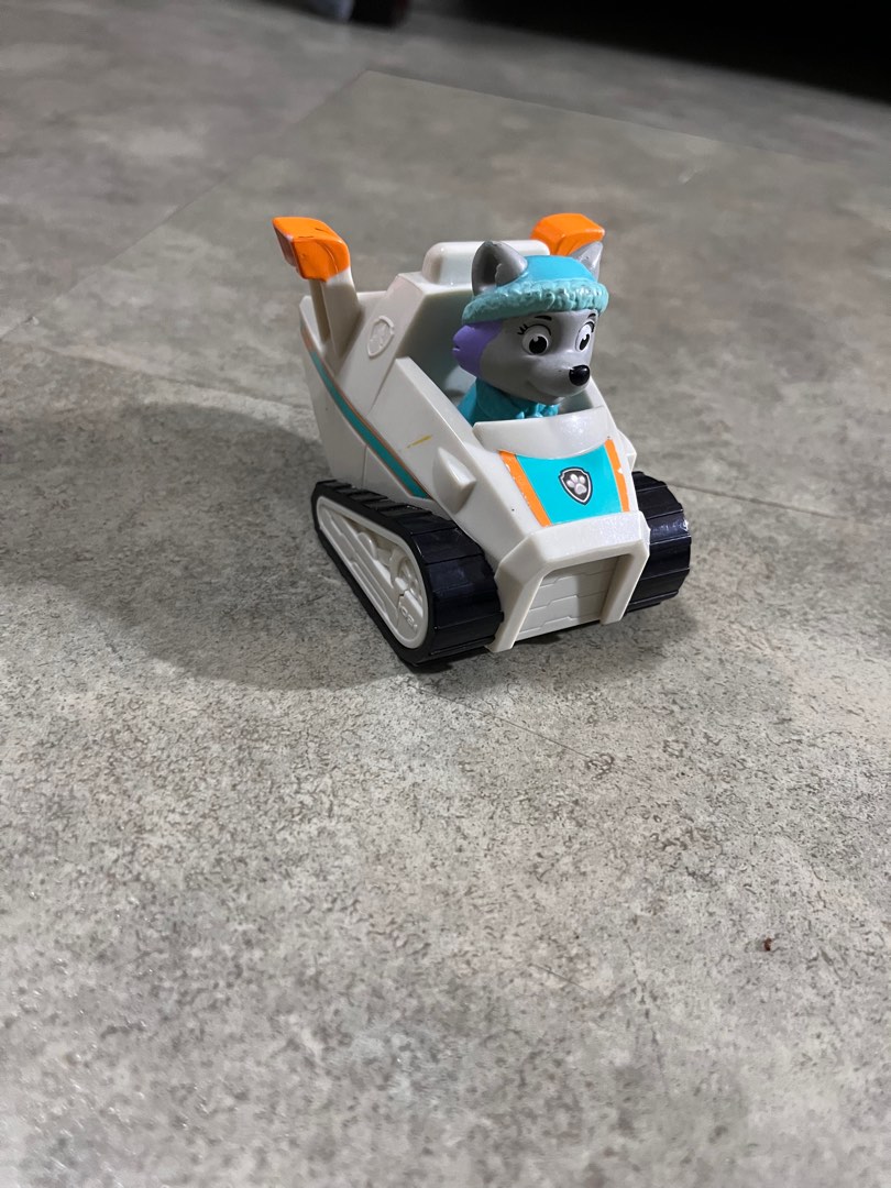 Paw patrol rescue racers everest 2025