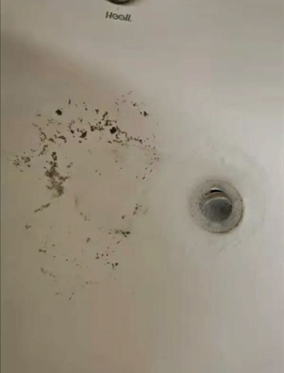 Pipe and sink cleaning agent, Pipeline cleaning agent. Number one