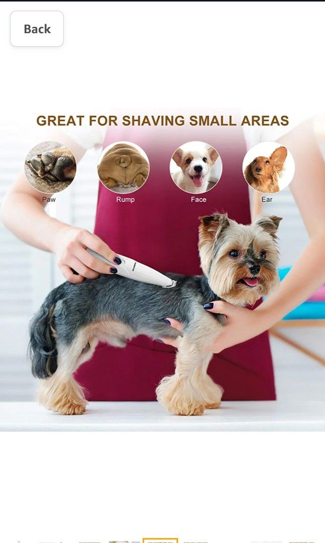 Are There Tiny Trimmers For Hair Inside Dogs Ears