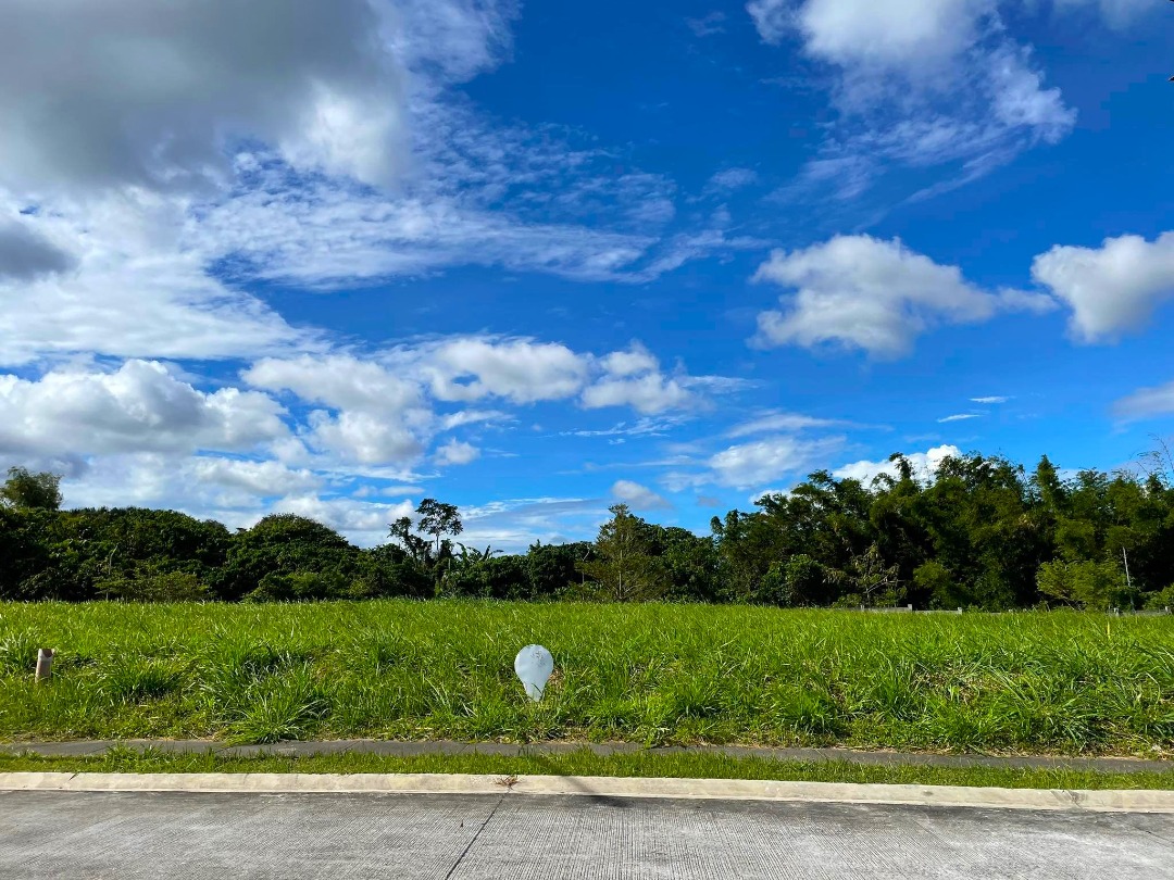 South Forbes Lot for Sale (Silang, Cavite), Property, For Sale, Lot on Carousell