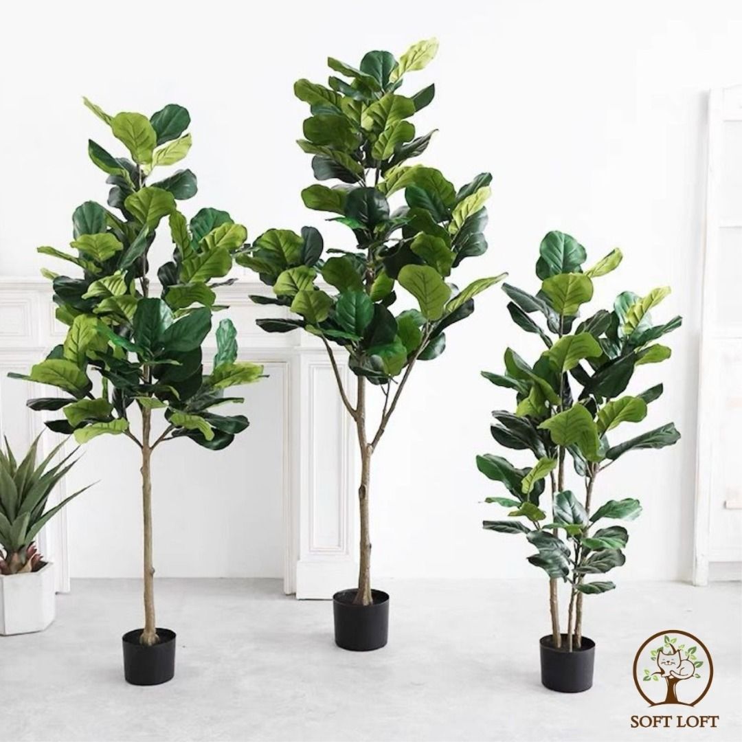 [SG STOCKS] Artificial Plant Fiddle Fig Fake Tree / Fake Plants / Home