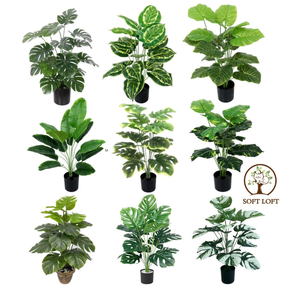 [SG STOCKS] Artificial Plant[SG STOCKS] Artificial Plant Traveler Palm