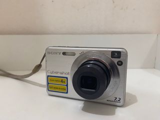 Sony W110