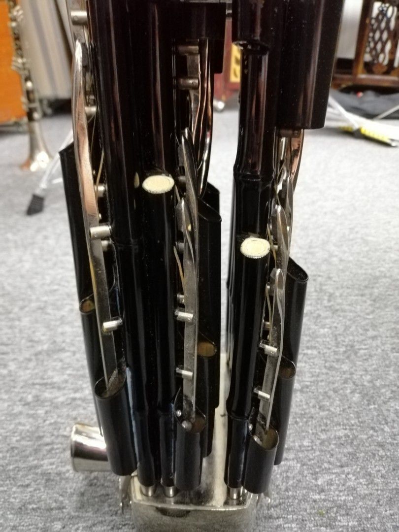 Slender reed instrument