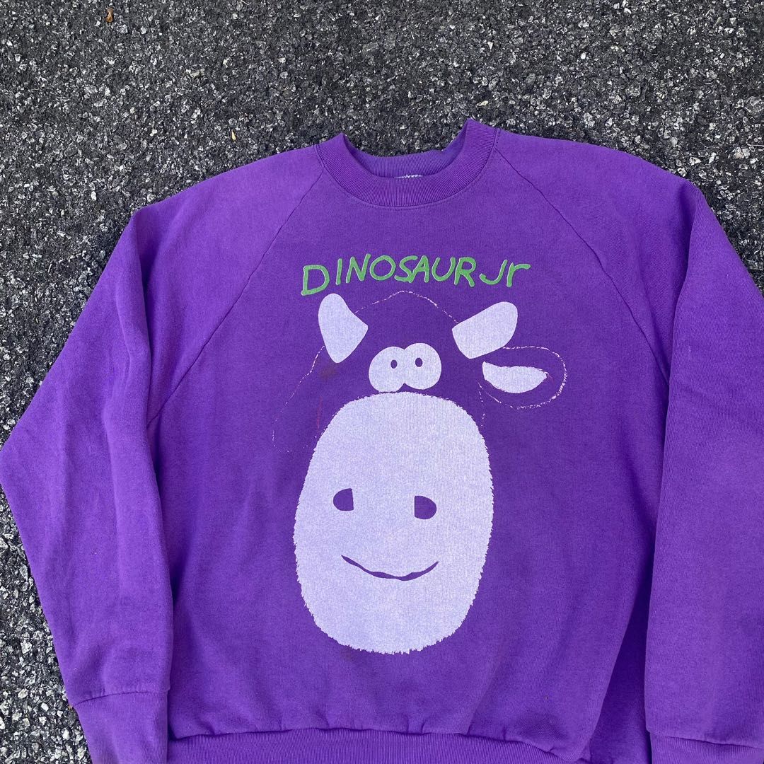 Dinosaur new arrivals jr sweatshirt