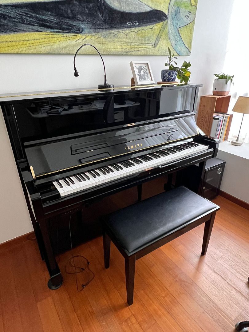 Yamaha 2024 u1 sh