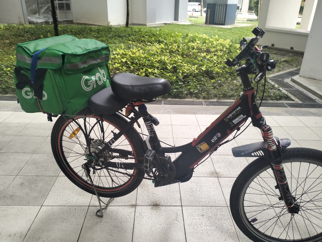 zebra ebike