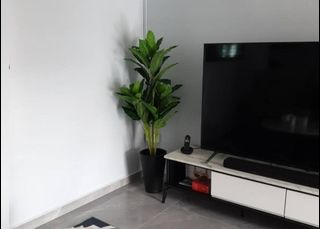 (Category: ) located in . Submitted by skgarden (Listing ID 1216853699, Image 1). Description: .