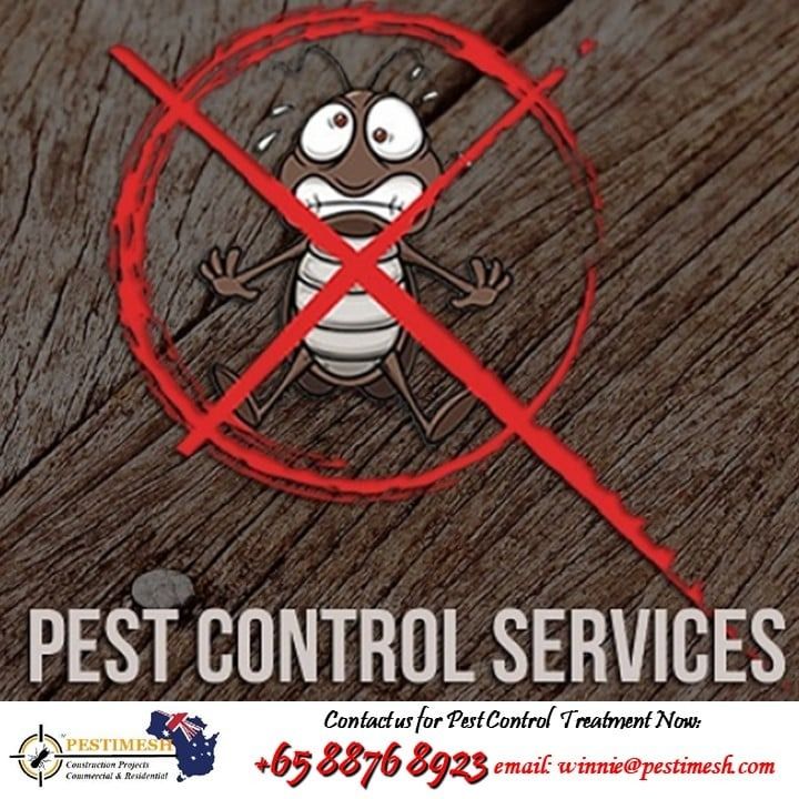 BED BUGS CLEAN UP TREATMENT, Home Services, Home Cleaning, Pest Control