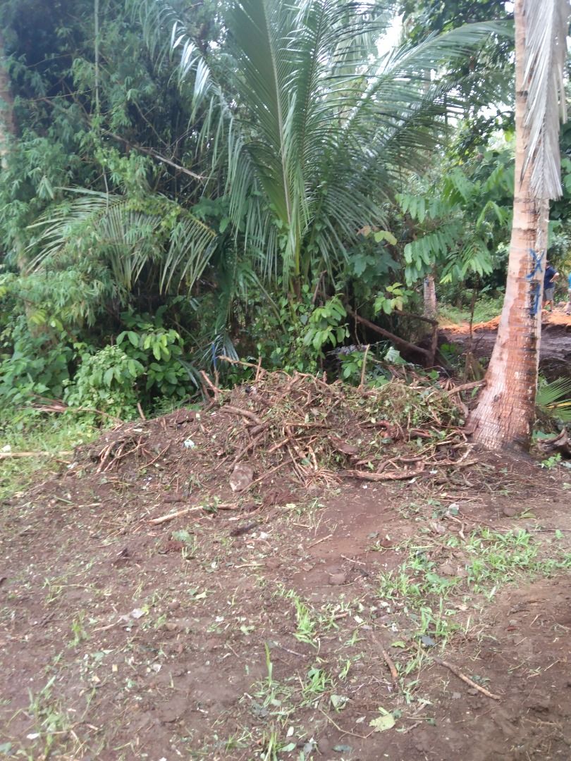 Farm lot with fertile soil., Property, For Sale, Lot on Carousell