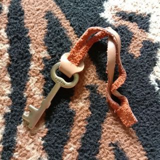 Fossil key with strap original