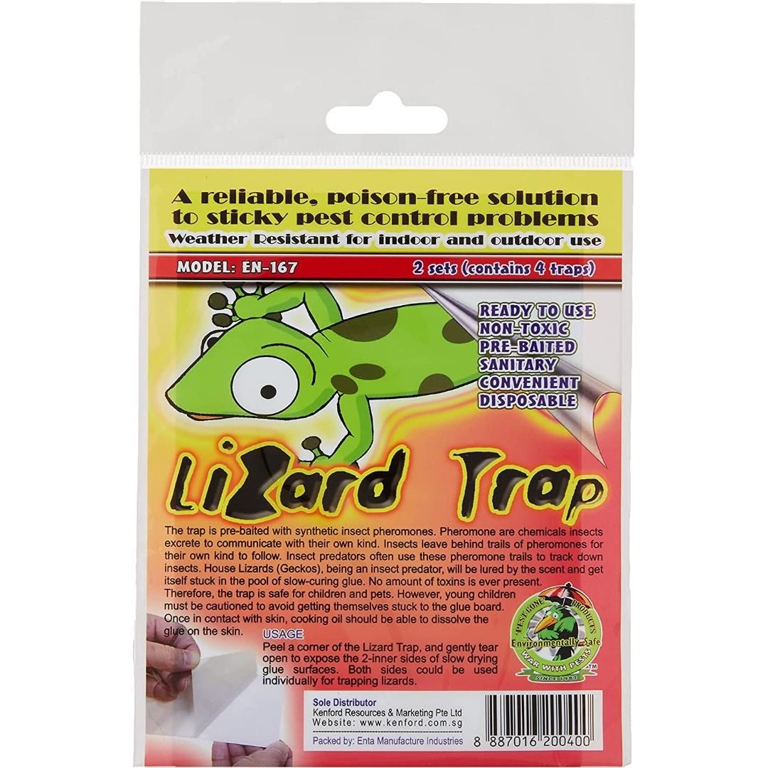 DPK Lizard Trap, Multicolour - 2 sets (contains 4 trap) : : Garden