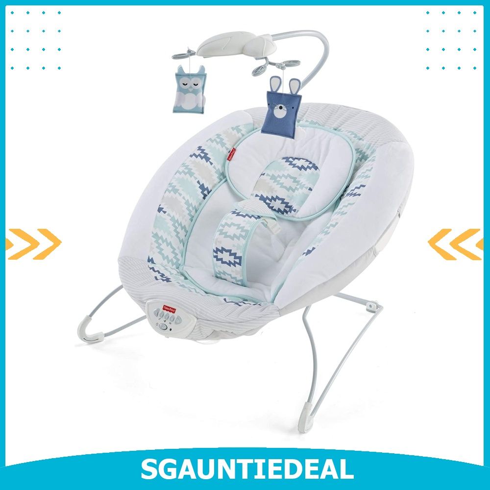 instock Fisher Price Deluxe Bouncer