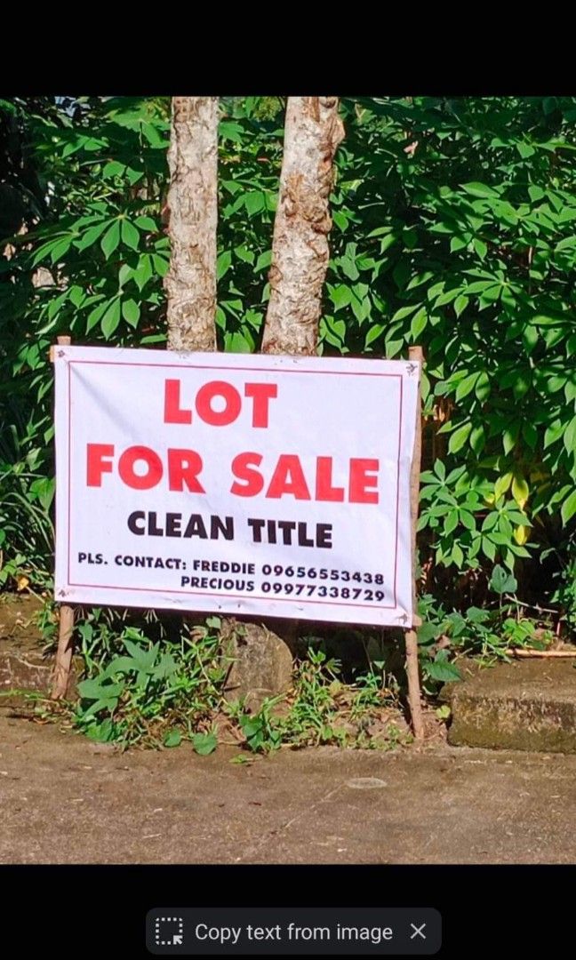 Laguna Lot For Sala (291sqm), Property, For Sale, Lot on Carousell
