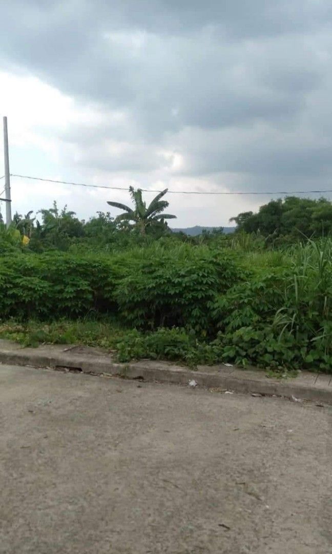 Laguna Lot For Sala (291sqm), Property, For Sale, Lot on Carousell