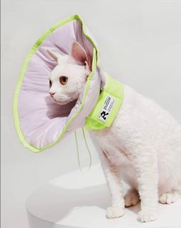 Latest design Cone for dogs or cats ( L SIZE )