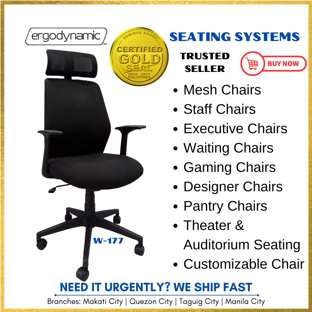 Office Chair, Ergodynamic W177 Office Chair, Office Furniture, Work