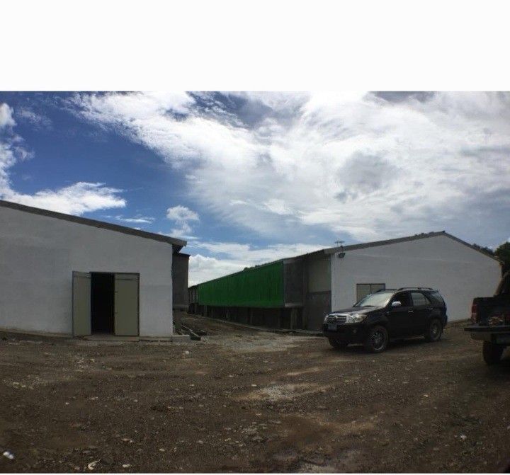 Poultry farm for sale, Property, For Sale, Lot on Carousell