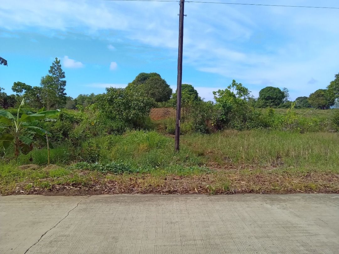 RUSH SALE NICE LOCATION 5.8 HECTARE LAND CLEAN TITLED IN NARRA PALAWAN