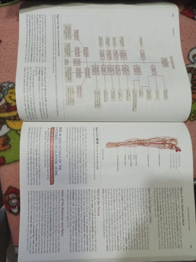 SEELEY S ANATOMY PHYSIOLOGY PDF visual data 8