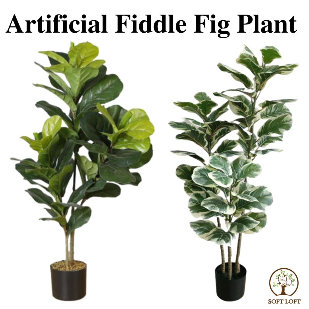 [SG STOCKS] Artificial Plant Fiddle Fig Fake Tree / Fake Plants / Home