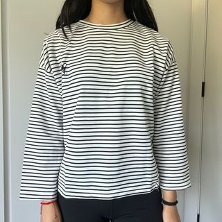 Striped Dog Shirt