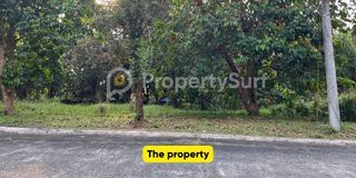 Sun Valley Antipolo with a very wide road|393 sqm| P15,000/sqm