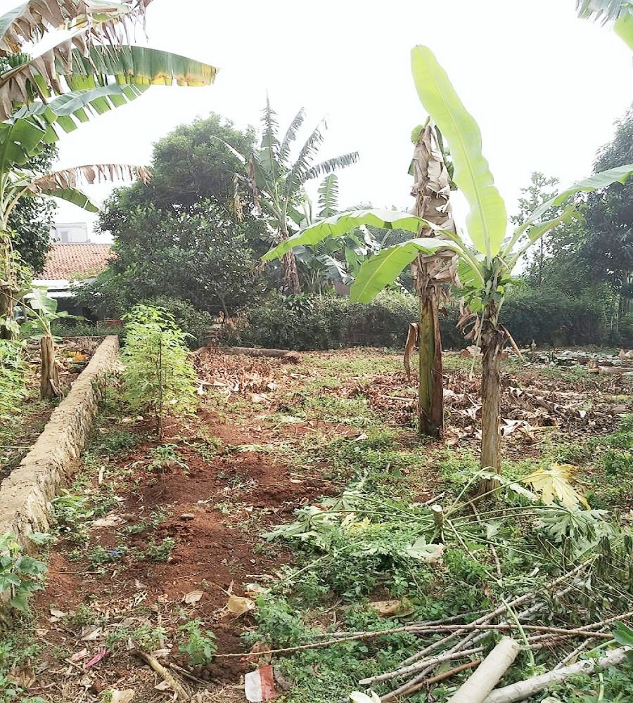 tanah_shm_dijual_di_jl_mushola_1677141788_073a9885_progressive