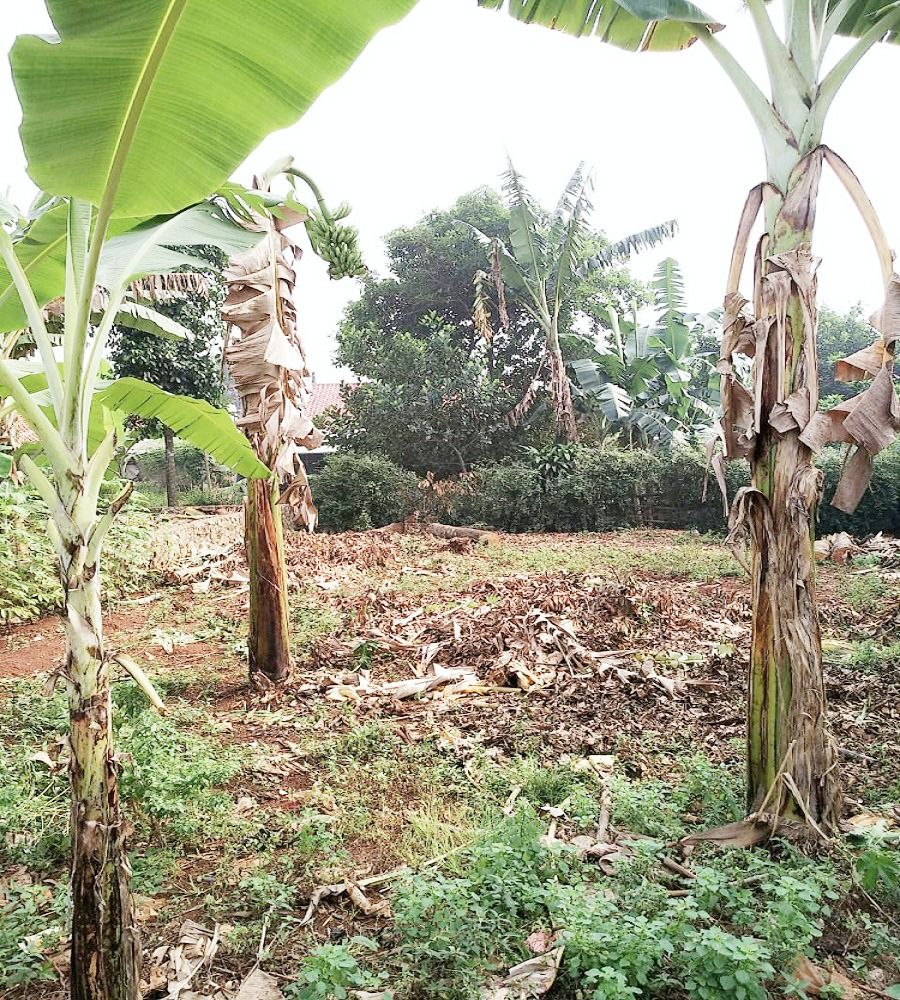 tanah_shm_dijual_di_jl_mushola_1677141788_6aae2701_progressive