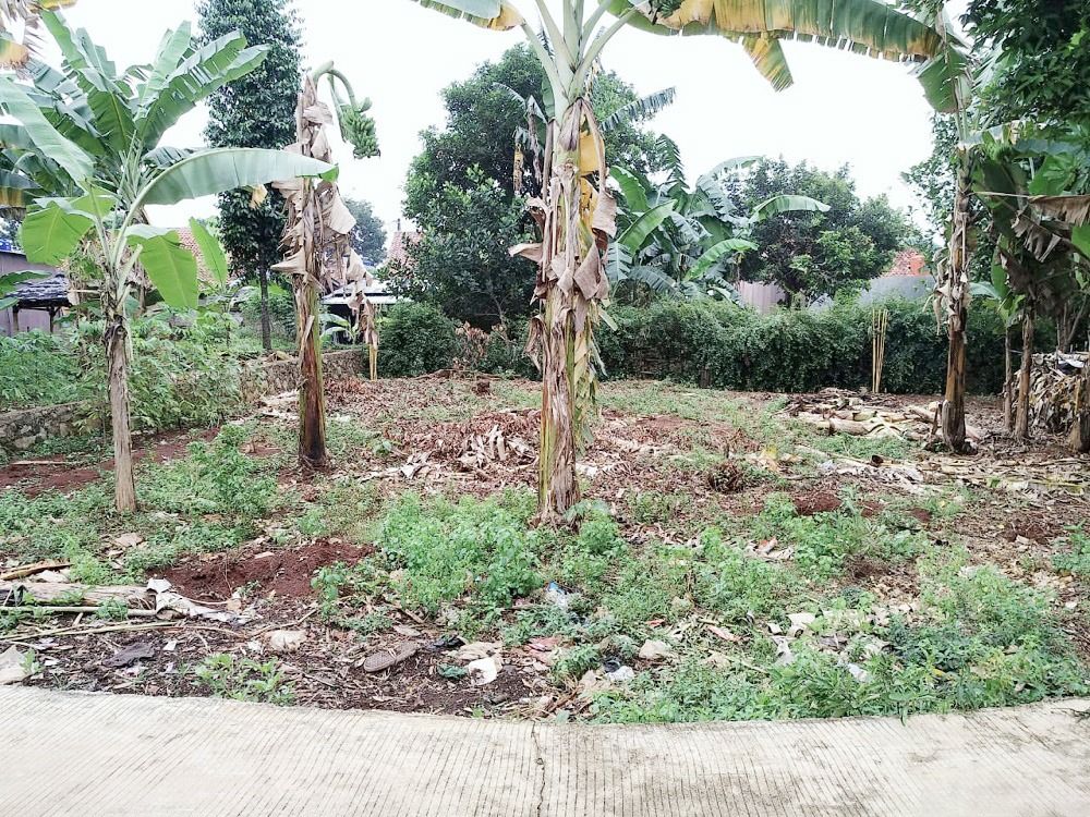 tanah_shm_dijual_di_jl_mushola_1677141788_99862640_progressive