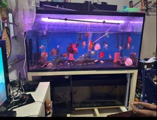 (Category: ) located in . Submitted by user3477 (Listing ID 1217156159, Image 1). Description: .