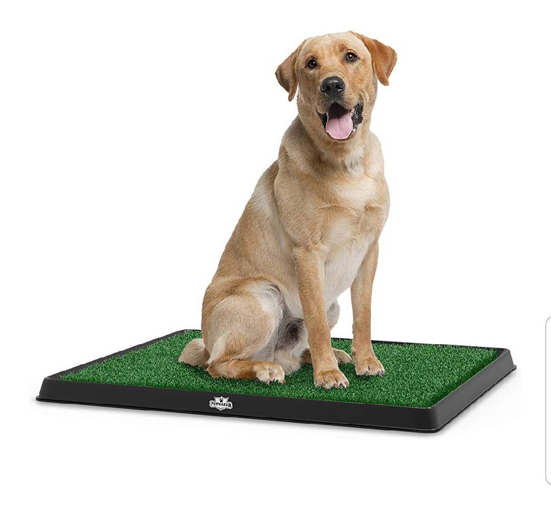Artificial grass bathroom store mat for puppies