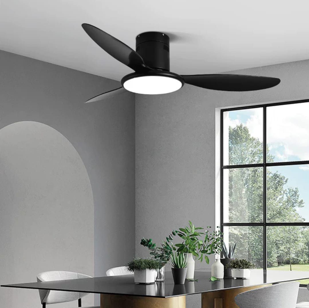 Ceiling Fan / Ceiling Fan with light