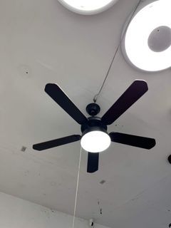 Elegant High Ceiling Fan with Light/ Drop Light
