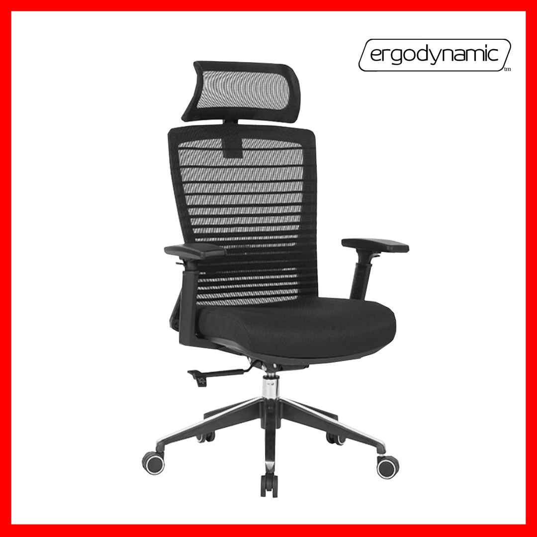 Ergodynamic STRUT V2 Mesh Chair, Office Chair, Executive Chair, Office