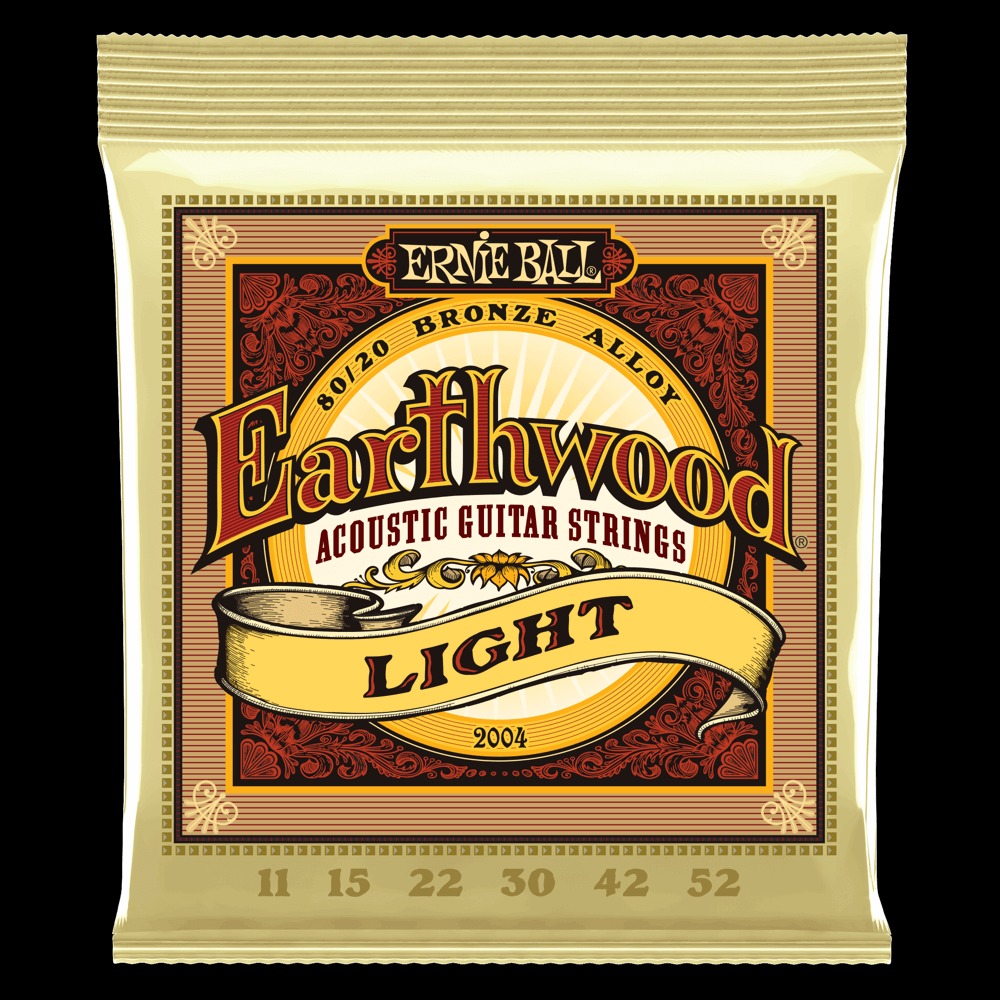 Ernie ball deals light