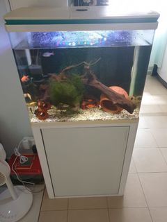 (Category: ) located in . Submitted by princessboink (Listing ID 1217110287, Image 1). Description: .