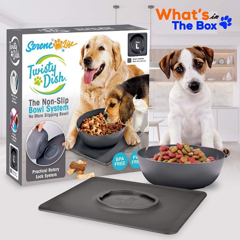 No flip dog bowl 2025