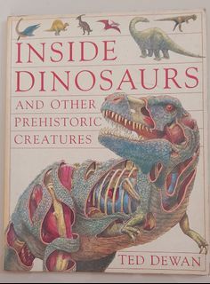 Inside Dinosaurs Book
