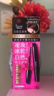 liese 速效白髮保染棒