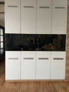 (Category: ) located in . Submitted by easyaquatic_studio (Listing ID 1217039722, Image 1). Description: .