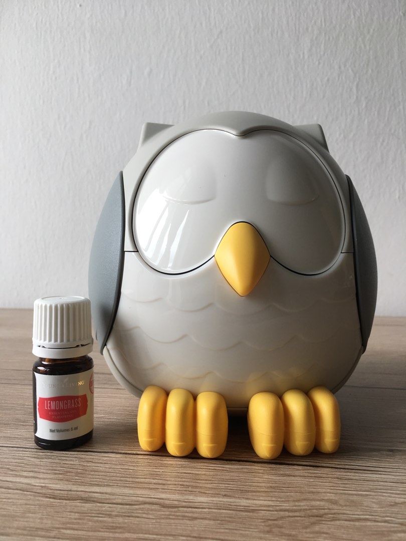 Owl diffuser Young Living, Everything Else, Others on Carousell