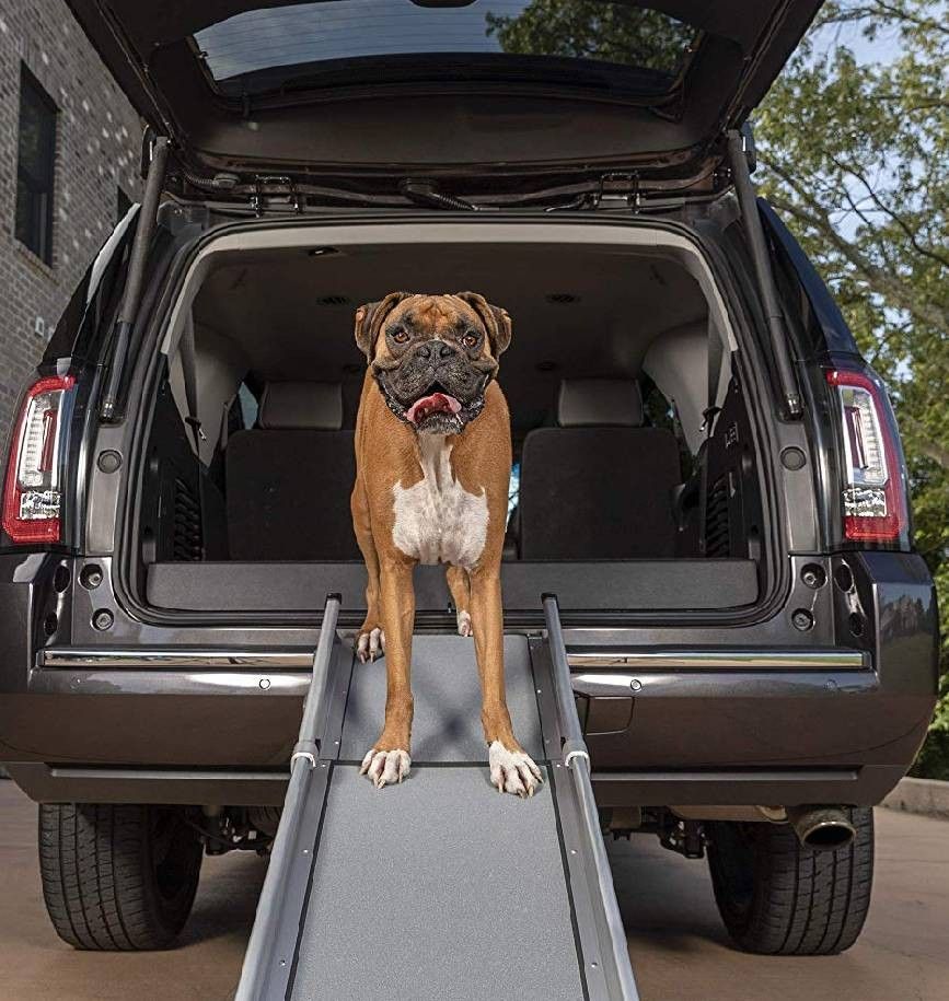 PetSafe Solvit Deluxe Tri Scope Telescoping Pet Ramp or Carrying