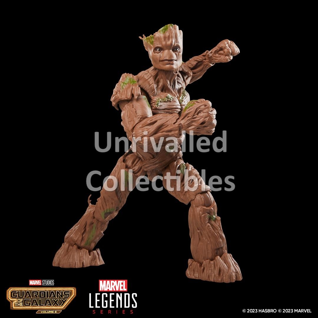 In Hand] Hasbro Marvel Legends 6 inches scale – Guardians Of The