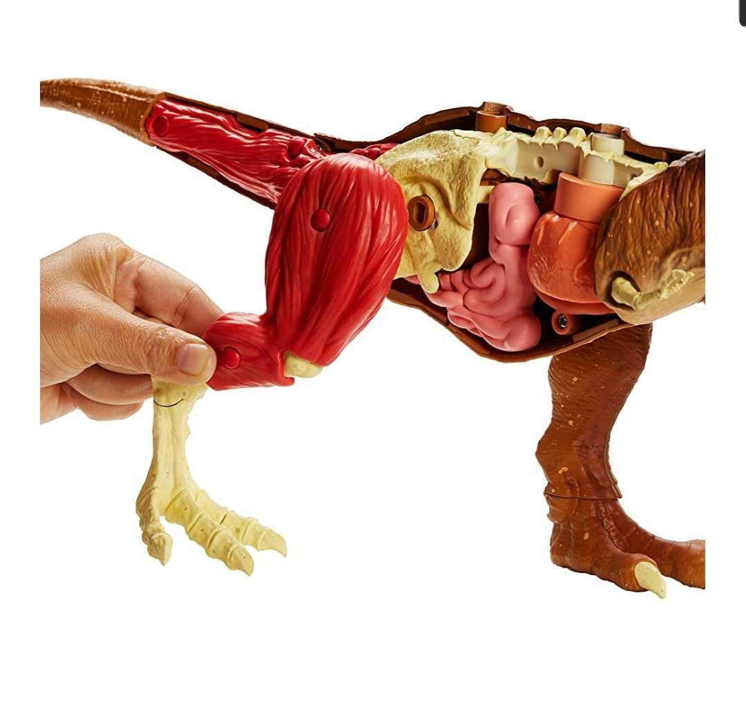 Jurassic world stem tyrannosaurus rex anatomy kit shop