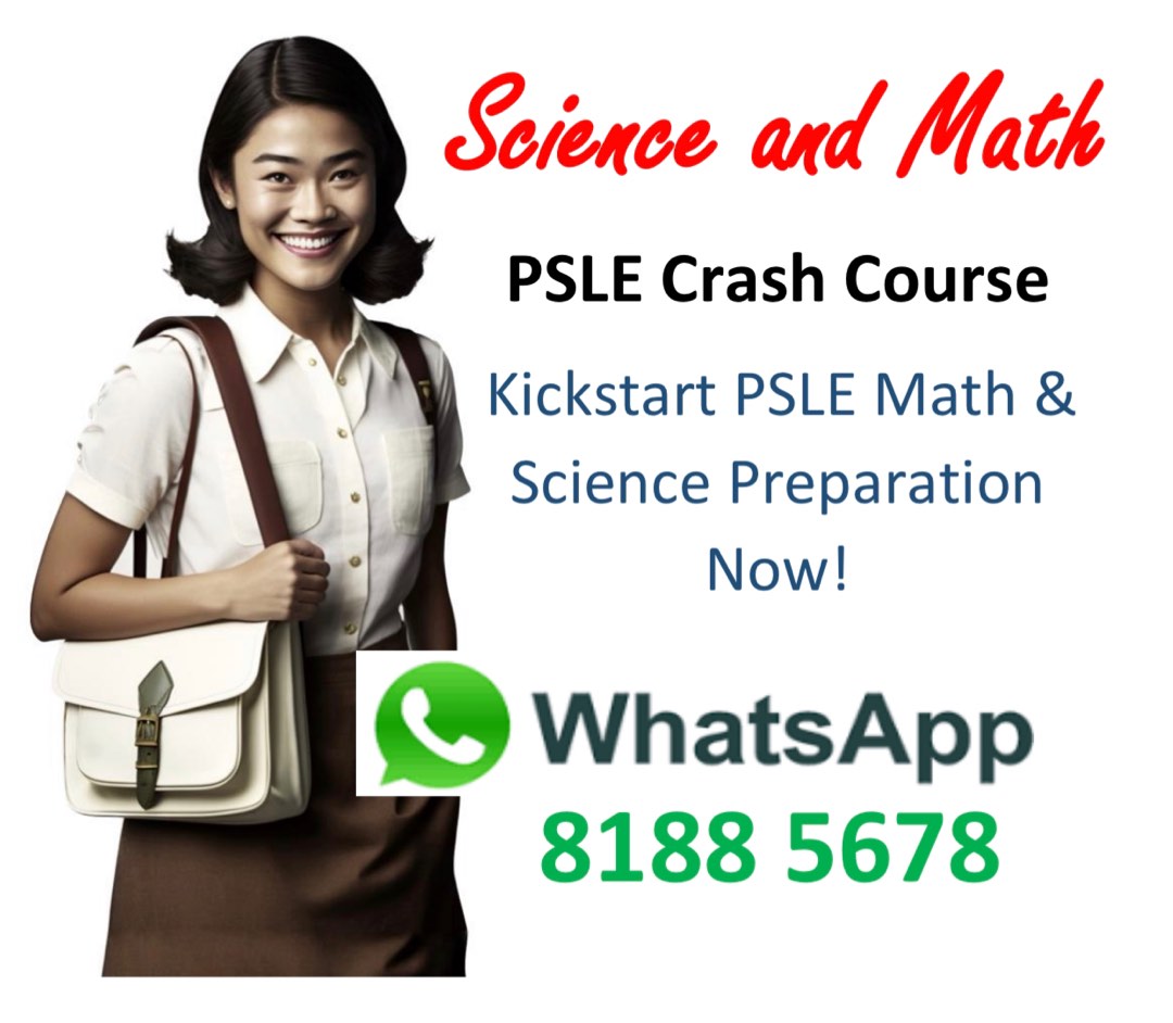 tuition_for_psle_science_and_m_1677241287_76537ce4.jpg