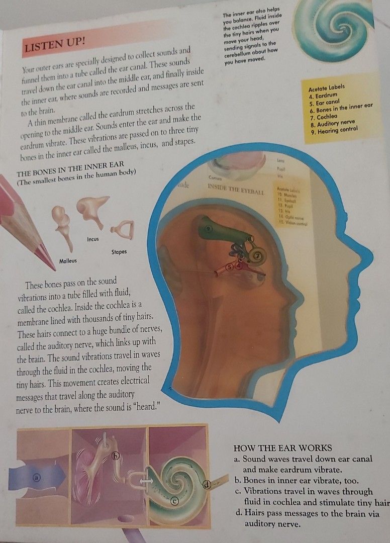 Your Amazing Brain On Carousell